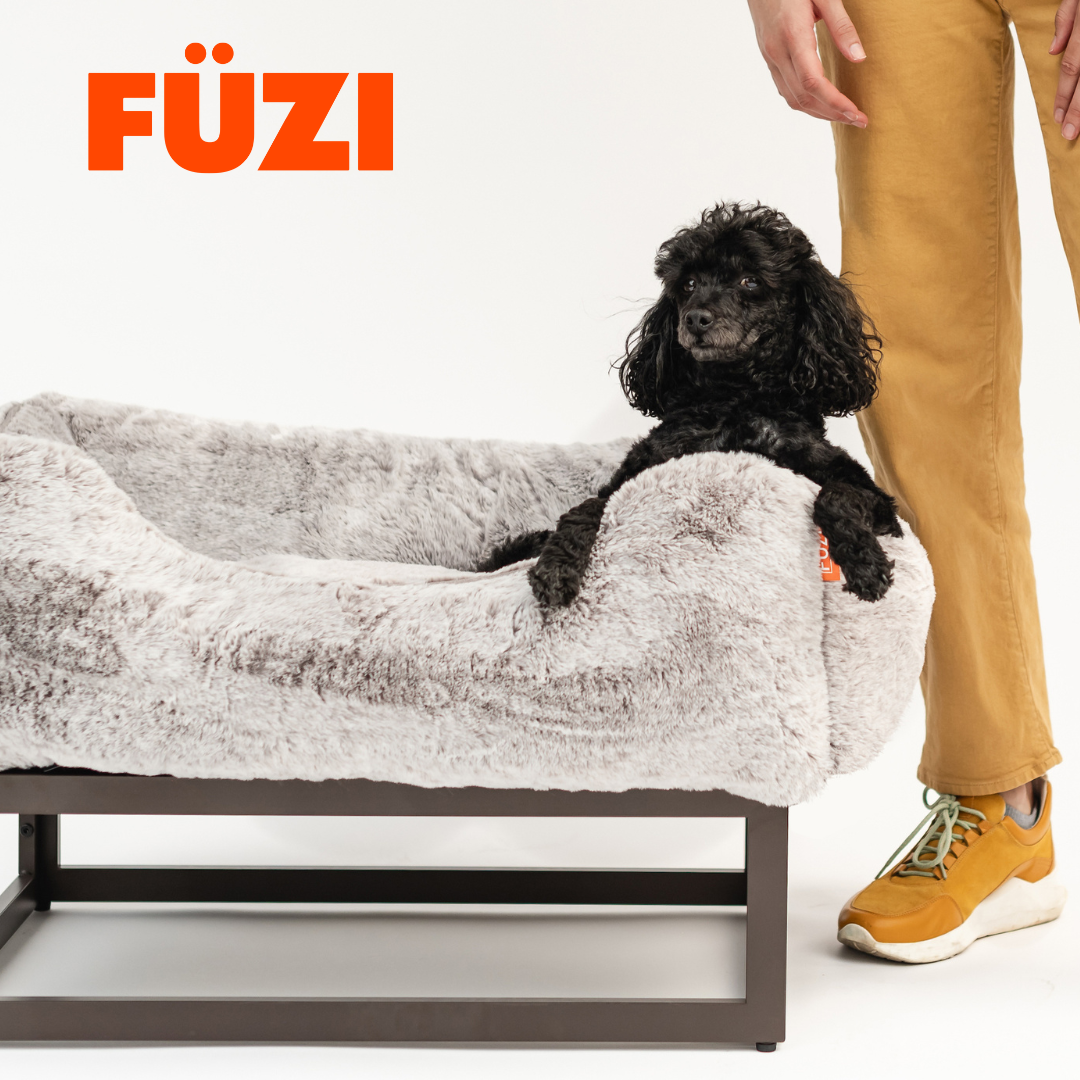Discover FÜZI’s Elevated Dog Bed