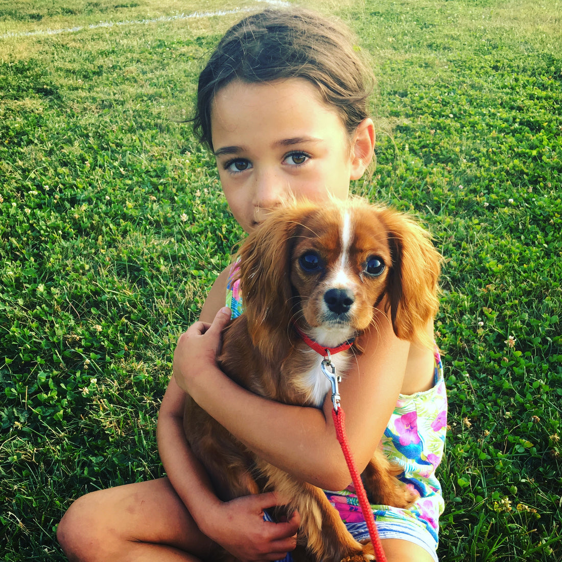 child happily playing with a dog