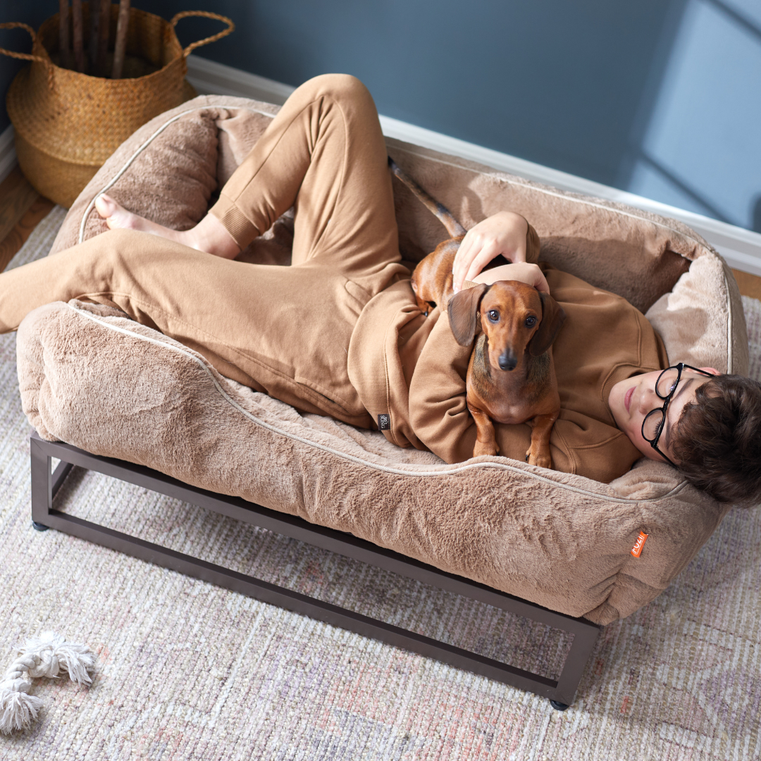 Canine Cuddles