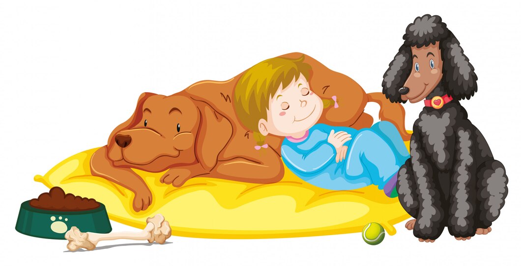 How I Made a DIY Dog Bed with a Pillow