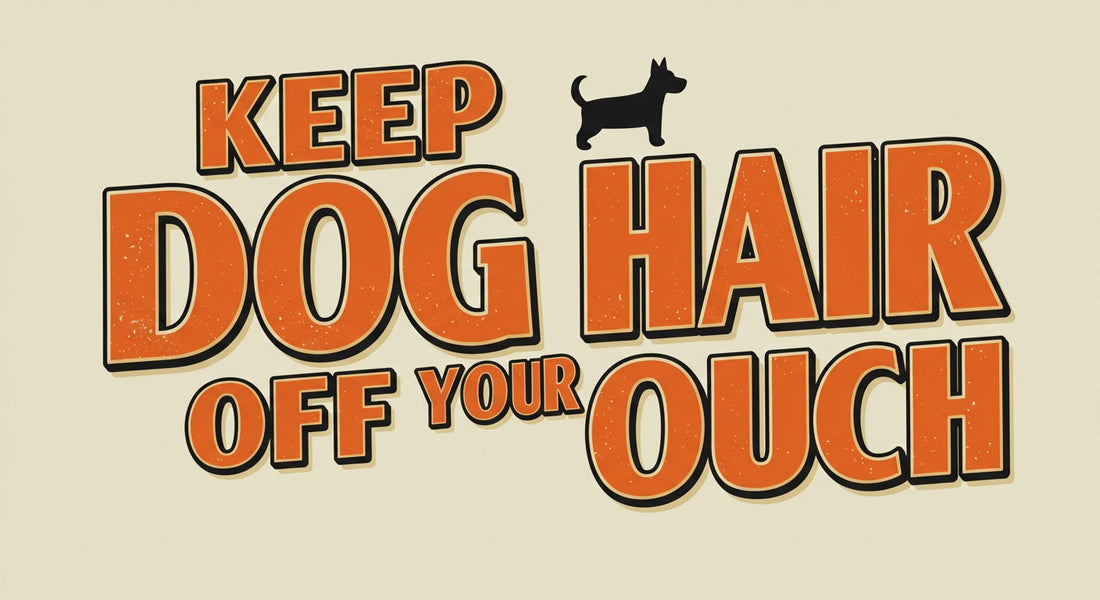 How to Keep Dog Hair Off Your Couch (Proven Pet Owner Tips)