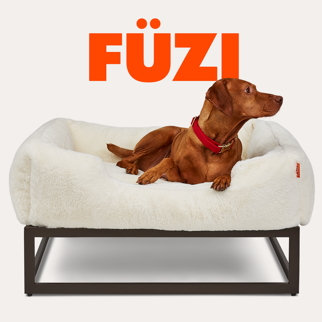Top elevated dog beds