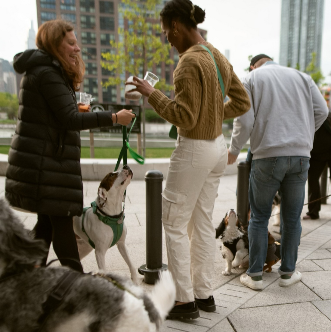 Fuzi Pets New York Weekly Events