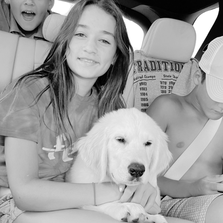 Road tripping with your dog