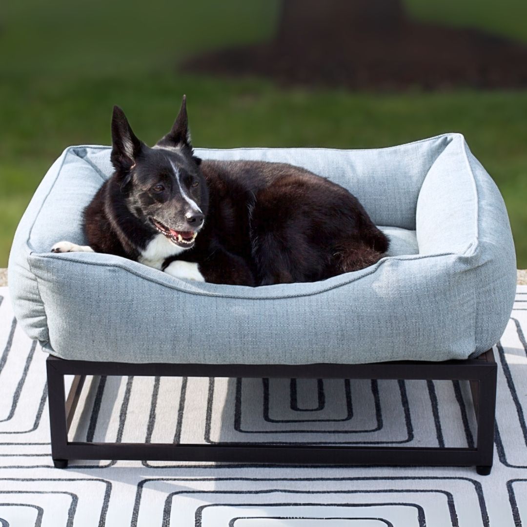 The FÜZI Dog Bed
