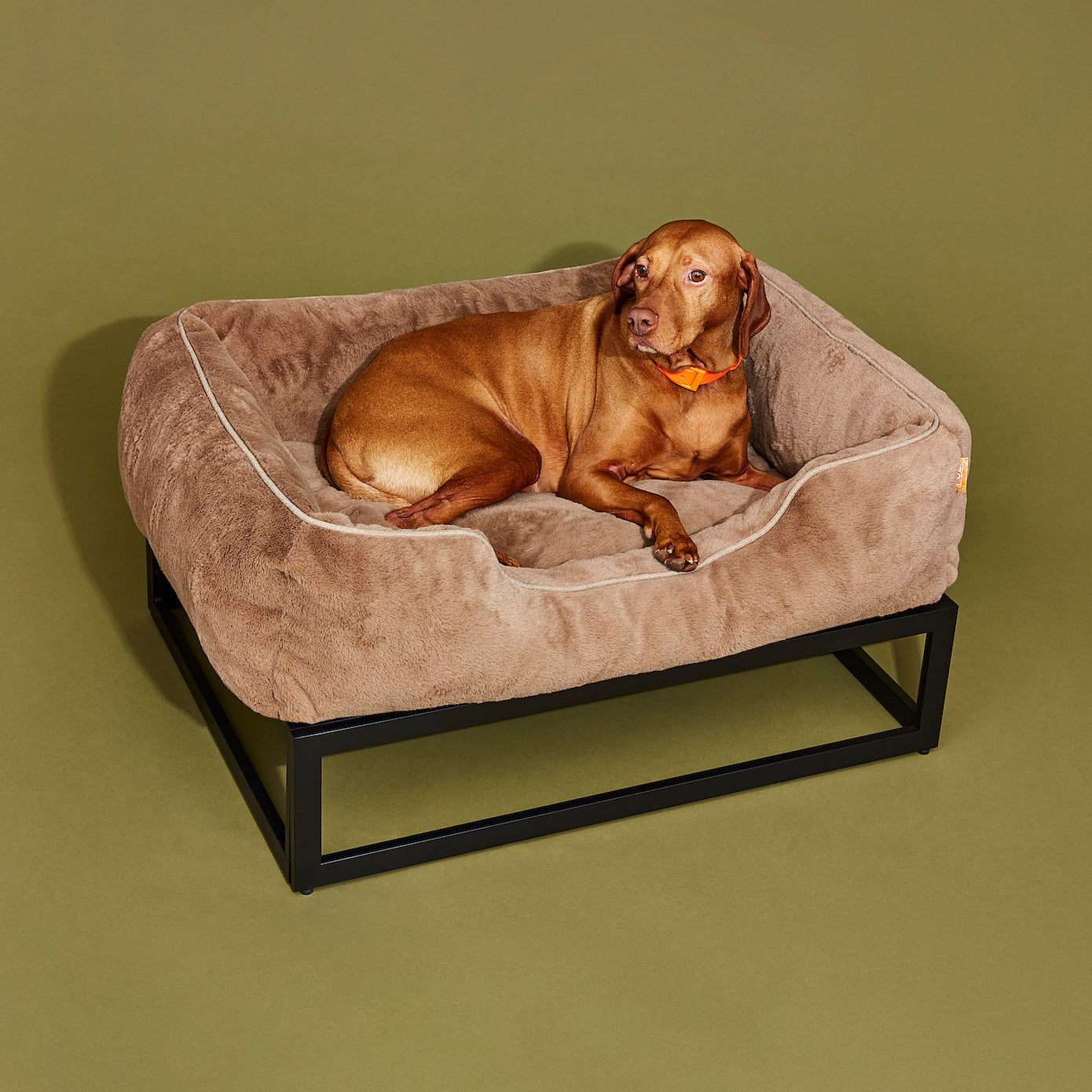 Best elevated dog beds by Fuzi, designed for enhanced airflow, support, and comfort, in medium brown and black.
