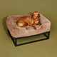 Best elevated dog beds by Fuzi, designed for enhanced airflow, support, and comfort, in medium brown and black.