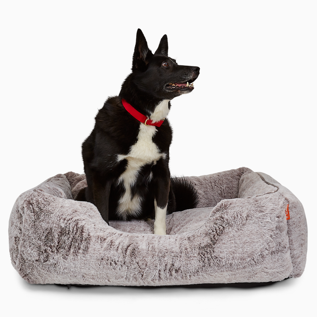クラフト・布製品 Doggy Amazon.com : PawHut 36