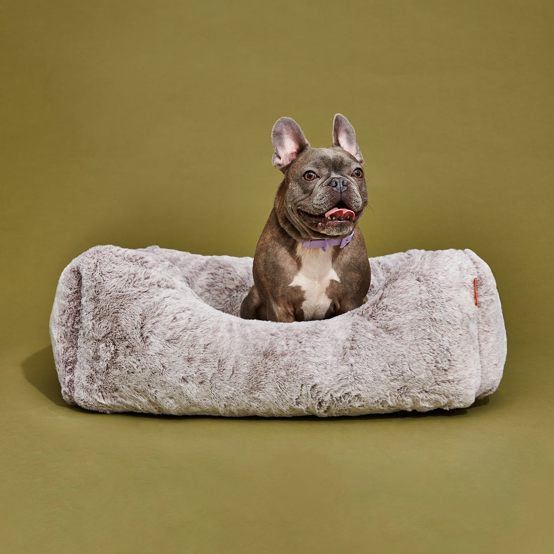 FÜZI Pets Launches Luxury Elevated Dog Beds
