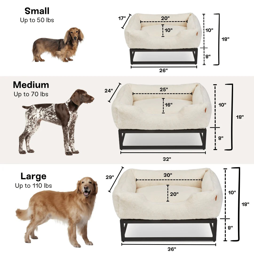 What Size Dog Bed Do I Need? A Cozy Guide for Perfect Pup Comfort