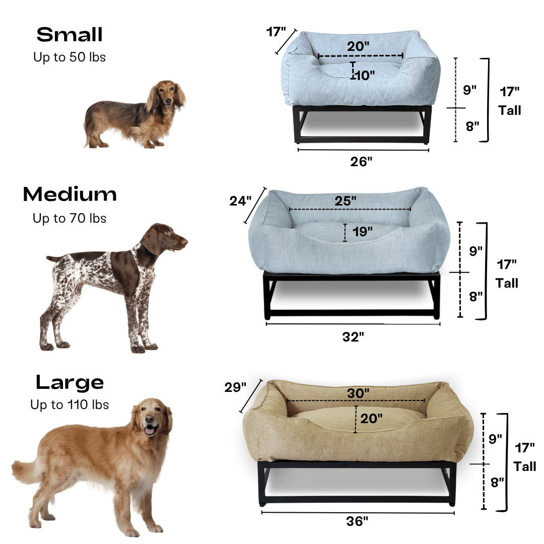 Small vs Large Dog Beds: How to Size Your Dog's Perfect Sleep Space