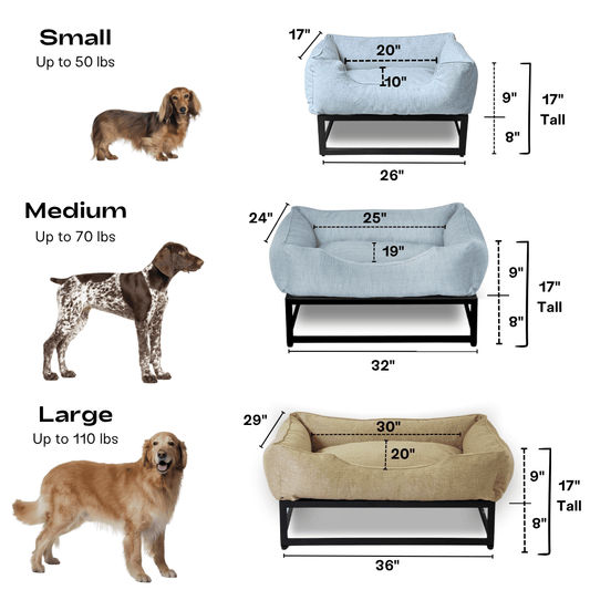 Small vs Large Dog Beds: How to Size Your Dog's Perfect Sleep Space
