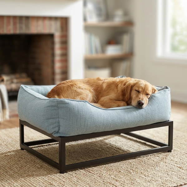 Why Dogs Love Being Up High: The Appeal of Elevated Dog Beds