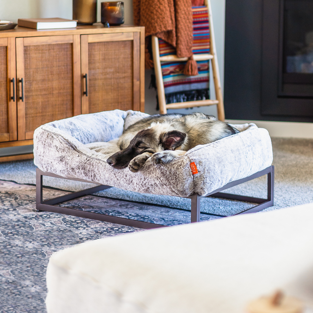 Choosing a Dog Bed That Suites Your Pooch