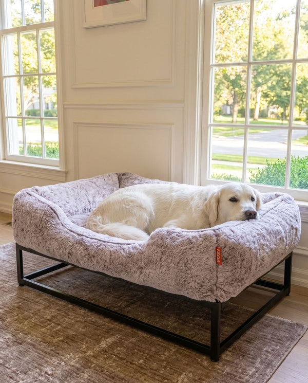 Best Dog Beds for Large Dogs: What Actually Matters