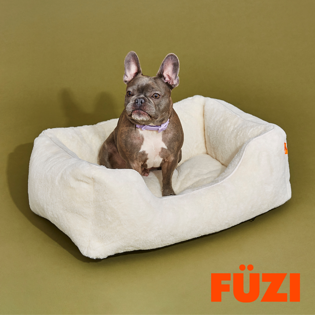 The Ultimate Guide to Choosing the Best Dog Bed Covers