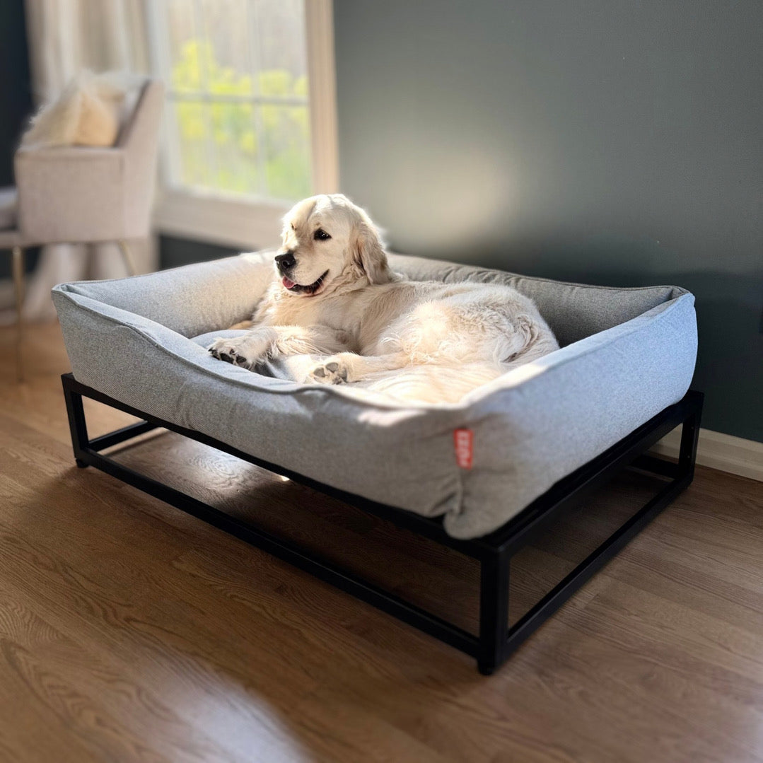 Extra Large Dog Beds: What Big Dogs Actually Need (and Why Most Beds Fail)
