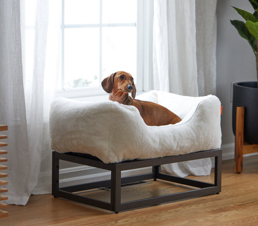 Reason for Choosing FÜZI Elevated Dog Beds