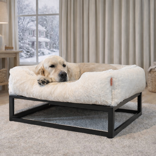 How Long Can a Dog Be Left Outside in the Cold? What to Know During Winter Storms