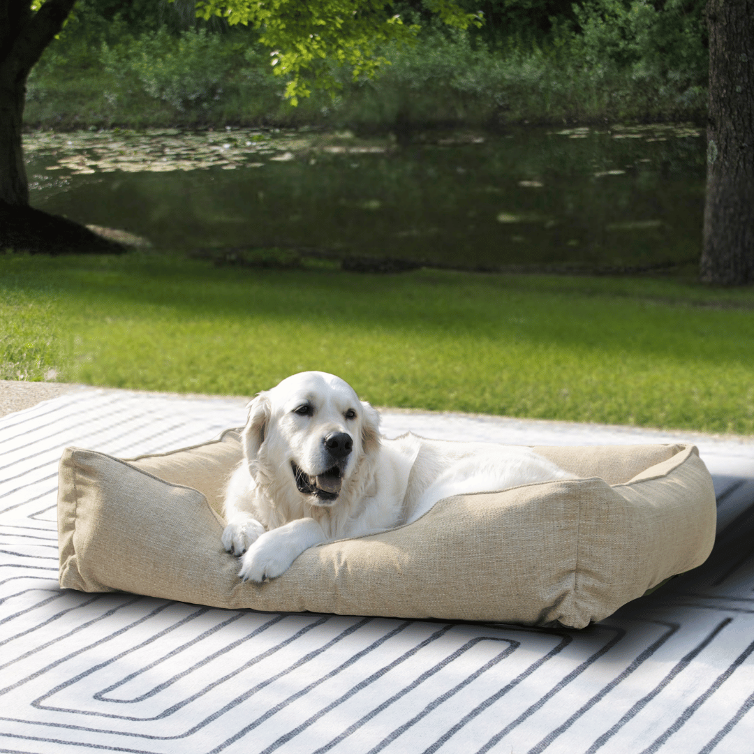 How to Keep Dogs Out of Flower Beds: Simple and Effective Tips