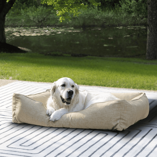 How to Keep Dogs Out of Flower Beds: Simple and Effective Tips