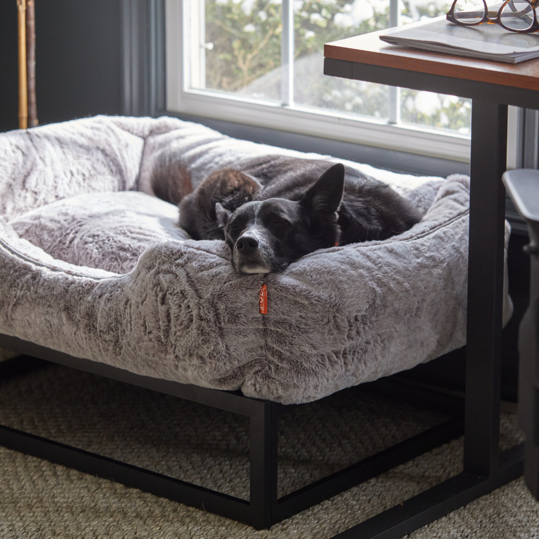  Enhance dog’s comfort with Window Seat Inspired FÜZI Pets