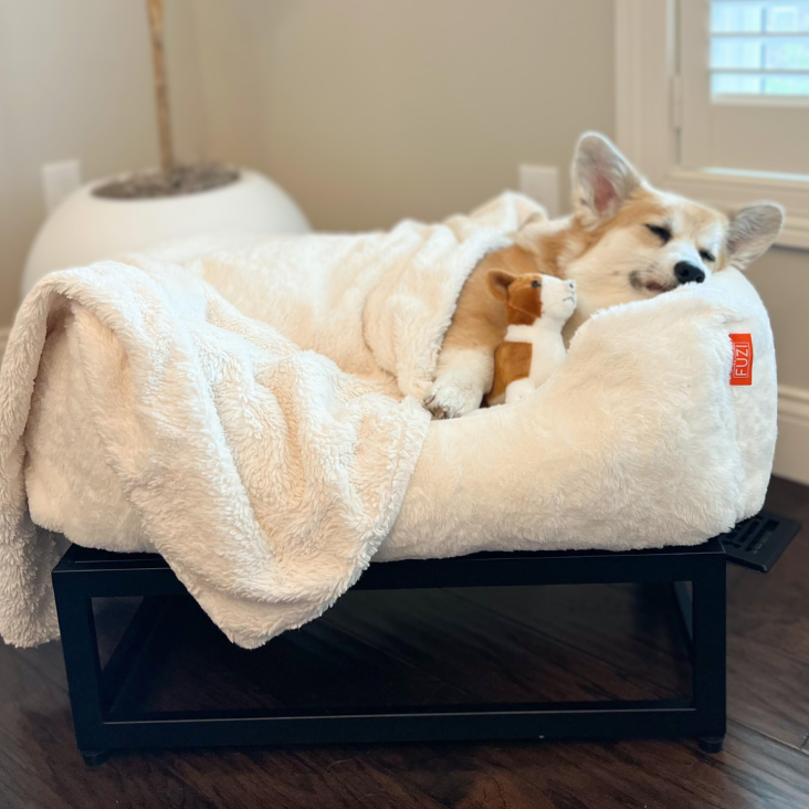 Curated visual reference: Picture Idea: Füzi Dog Wellness Tips Help Your Dog Sleep Through The