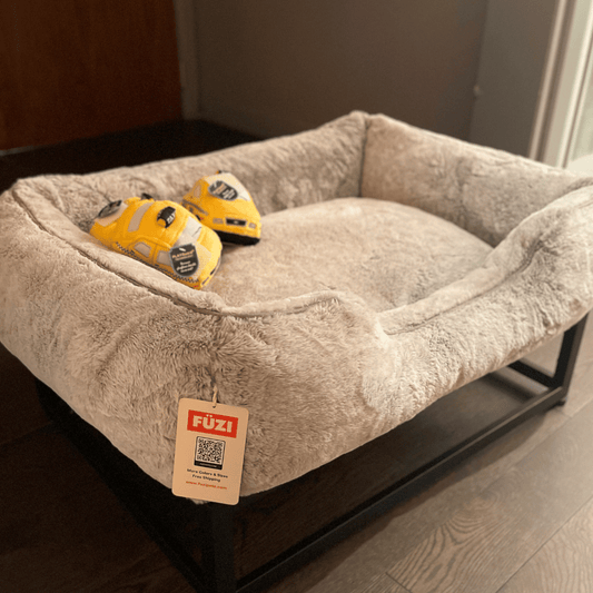 Benefits of Off the Floor Dog Beds