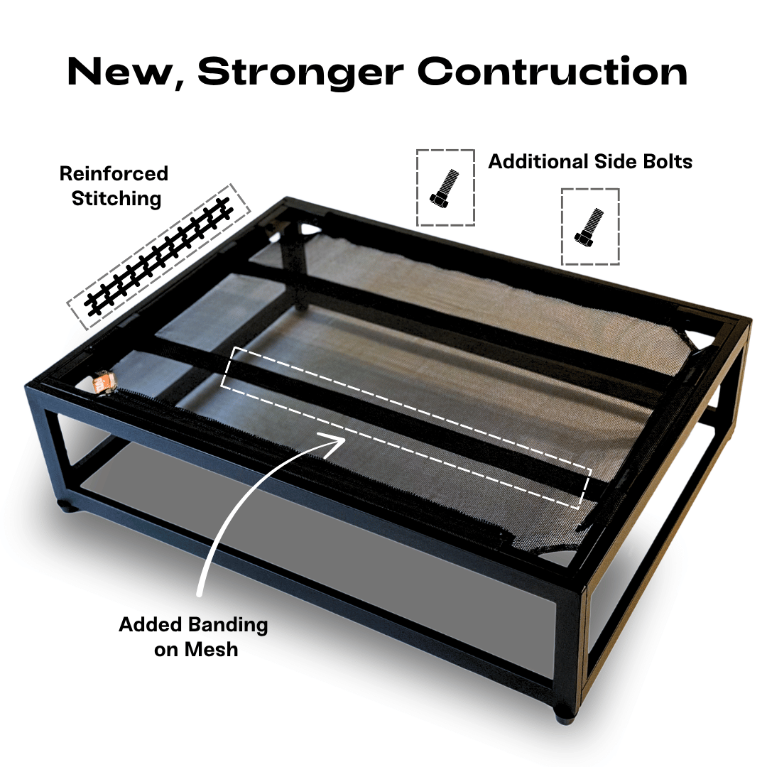 Bed Frame Dog Guide: Why Elevated Beds Are Best for Your Pup