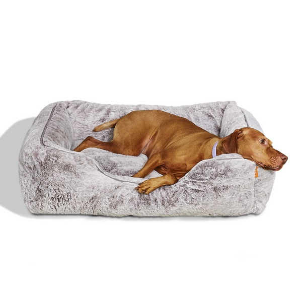 Vizsla in a Sammy bolster dog bed in light grey faux fur by Fuzi, with a removable cover available in four beautiful colors and three sizes.