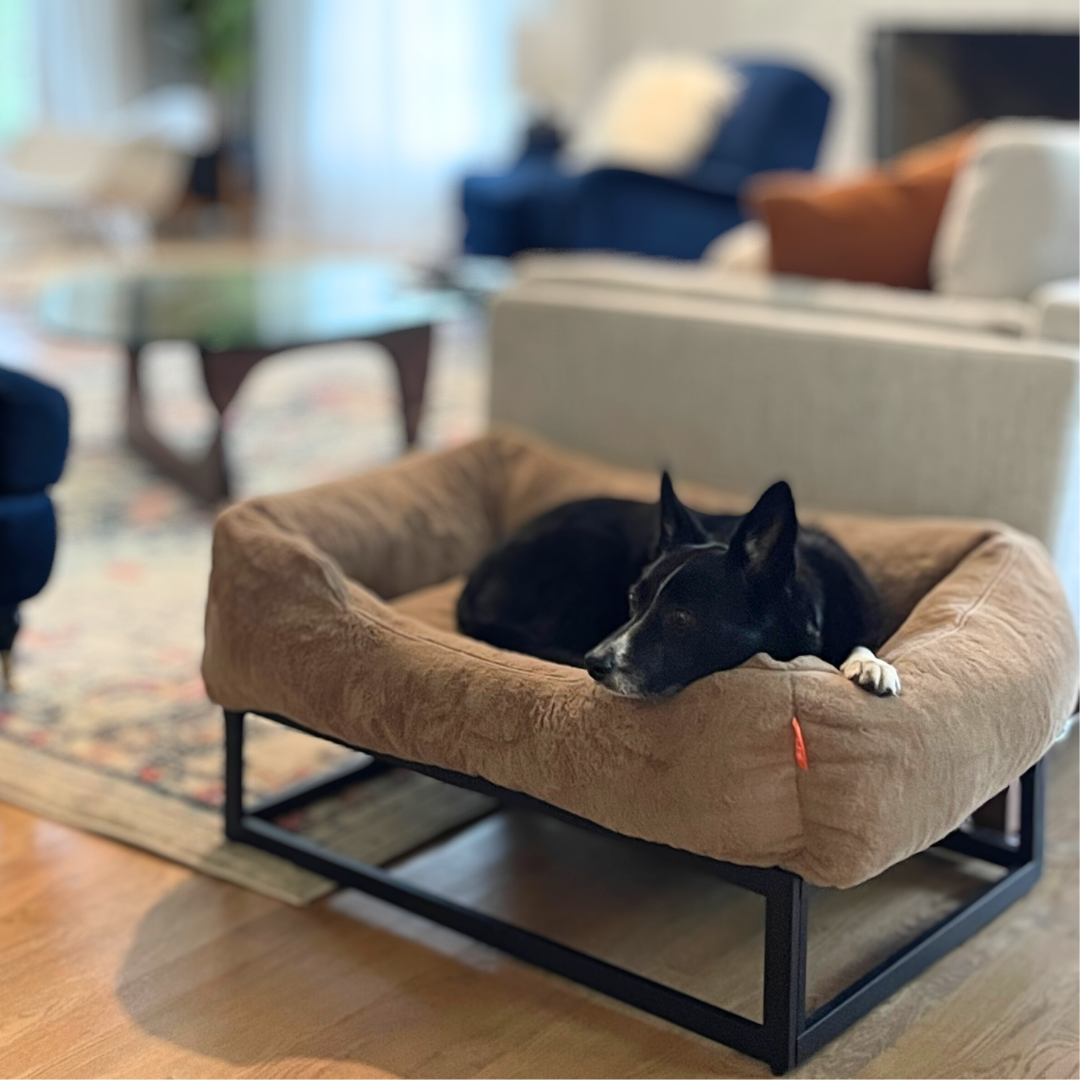 Lex & max dog bed best sale