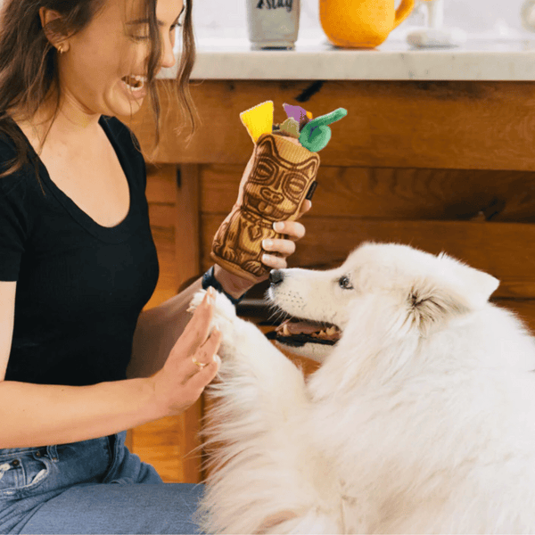 Tiki Time Dog Toy