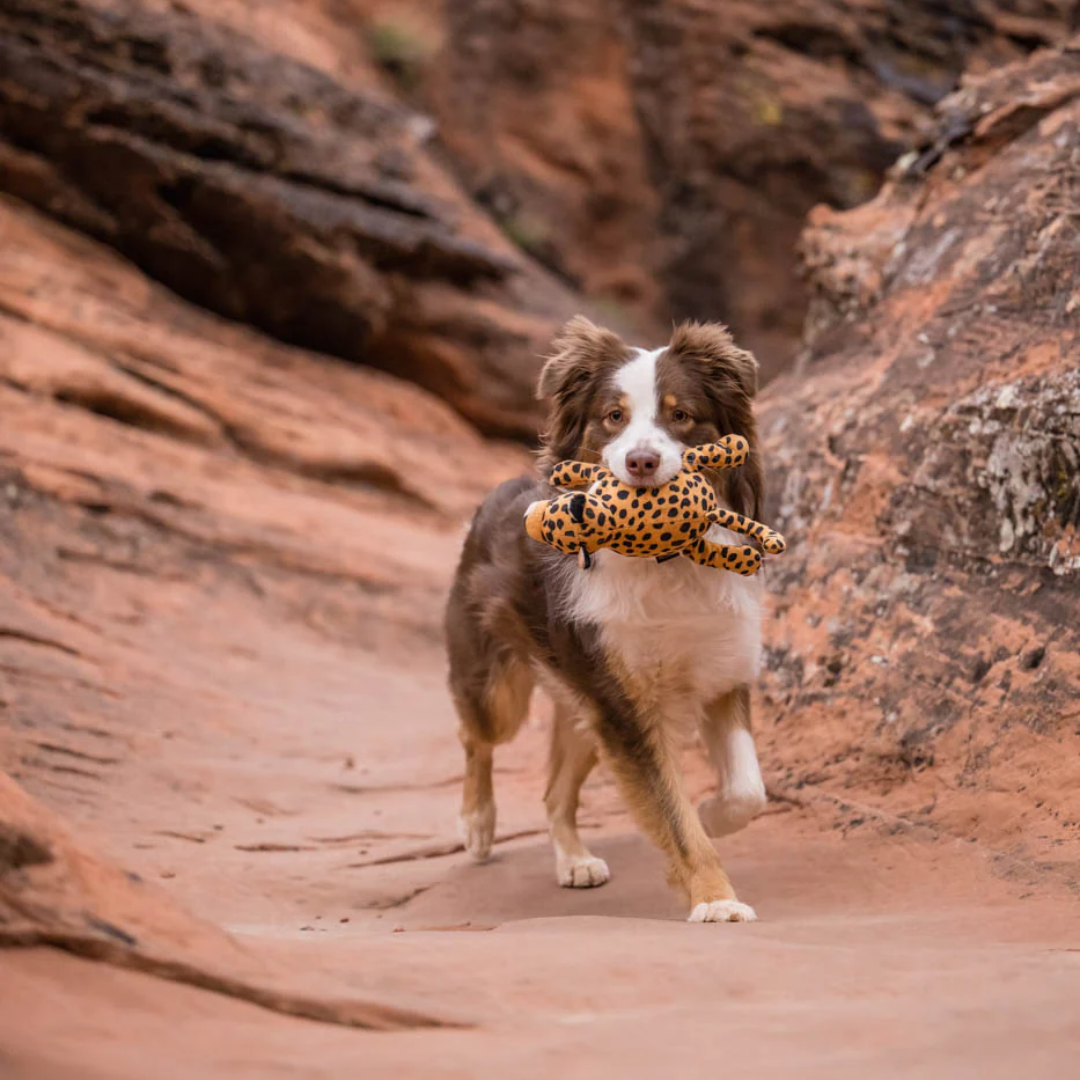 African Leopard Dog Toy