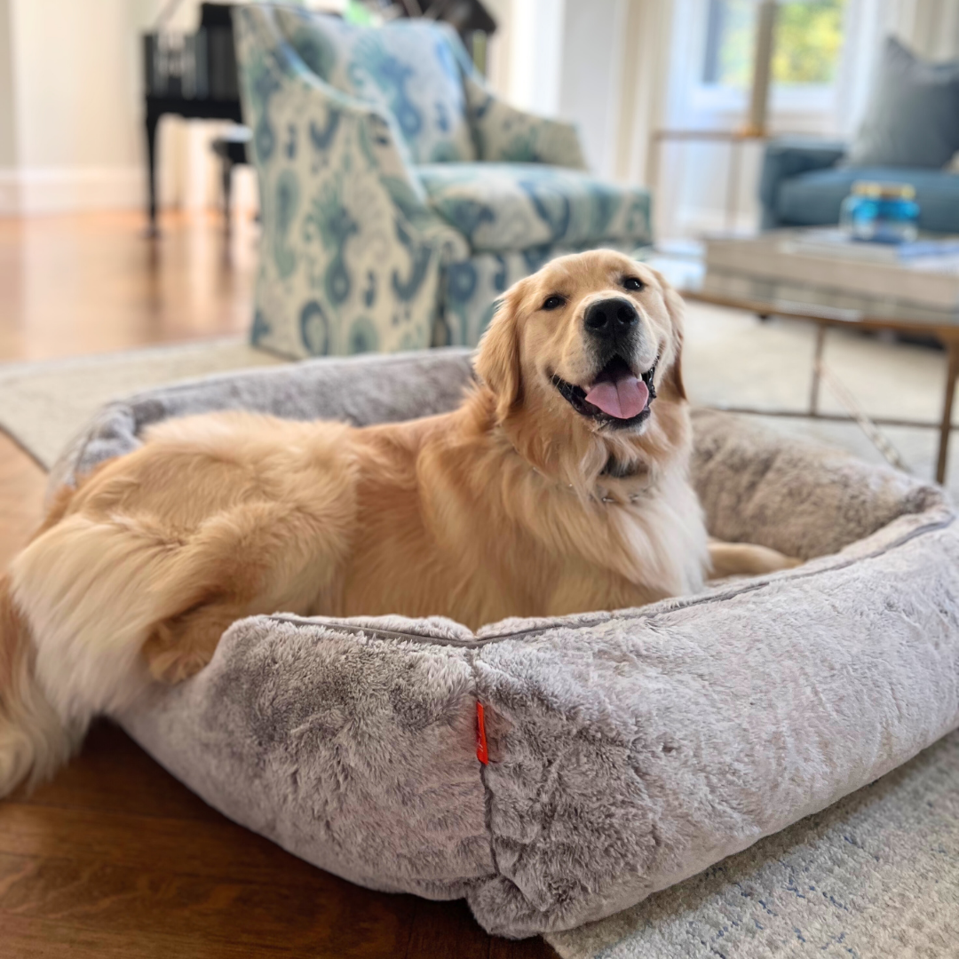 F ZI Pets Luxury Dog Beds Elevated Dog Beds Modern Dog Beds f-zi-pets-luxury-dog-beds-elevated-dog-beds-modern-dog-beds