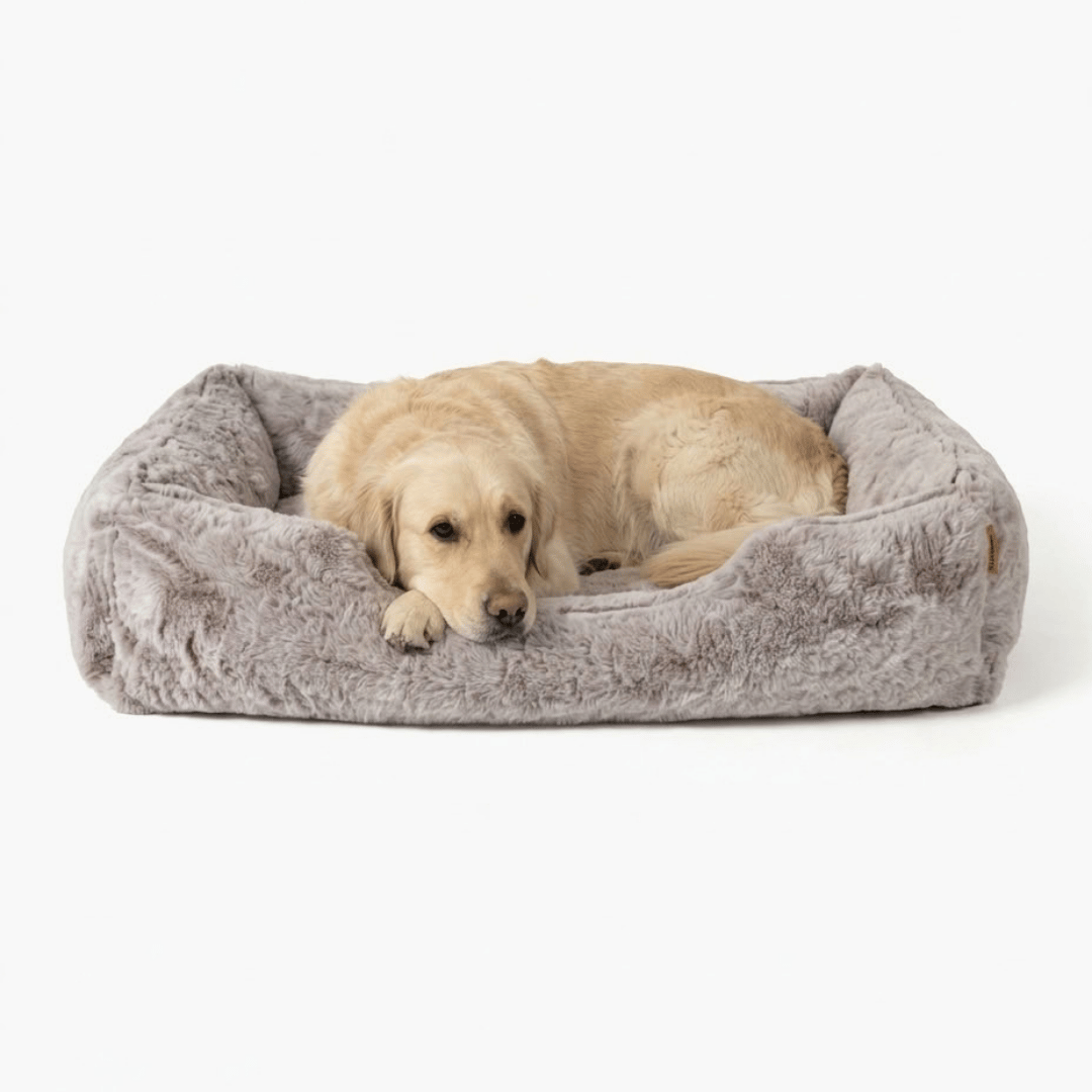 The Sammy Bolster Dog Bed