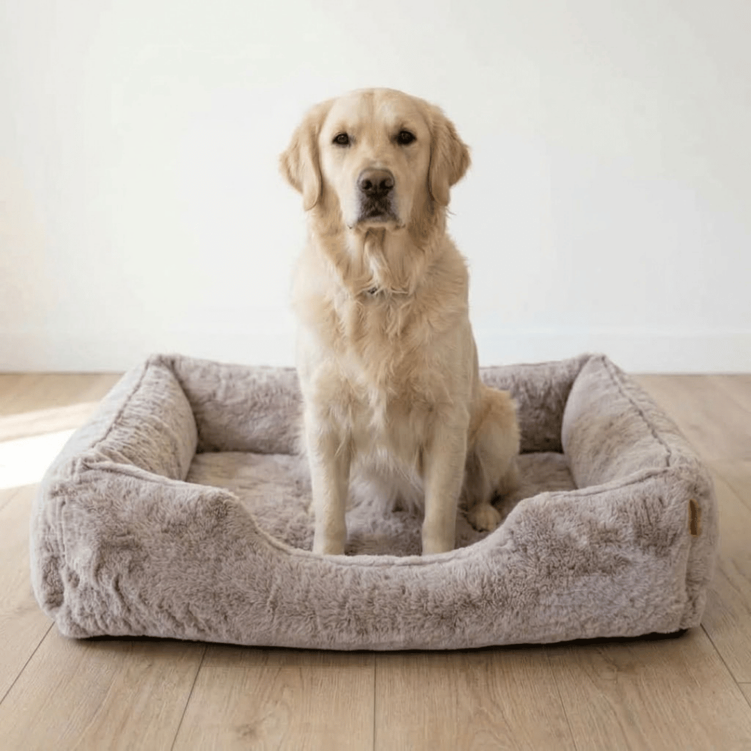The Sammy Bolster Dog Bed