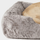 Truffle
