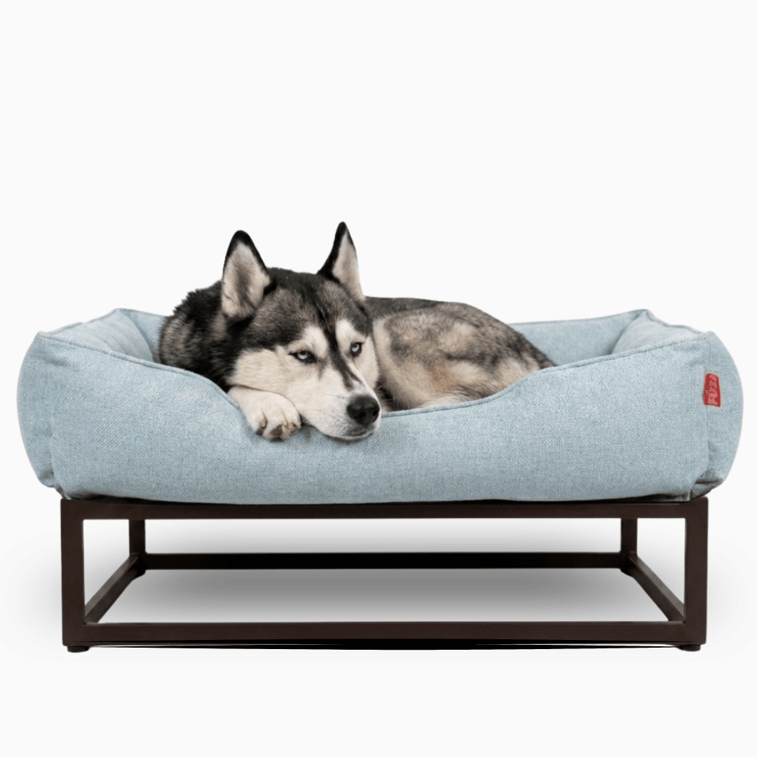 The FÜZI Elevated Dog Bed