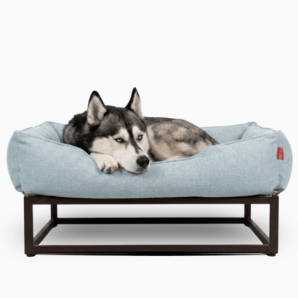 The FÜZI Elevated Dog Bed