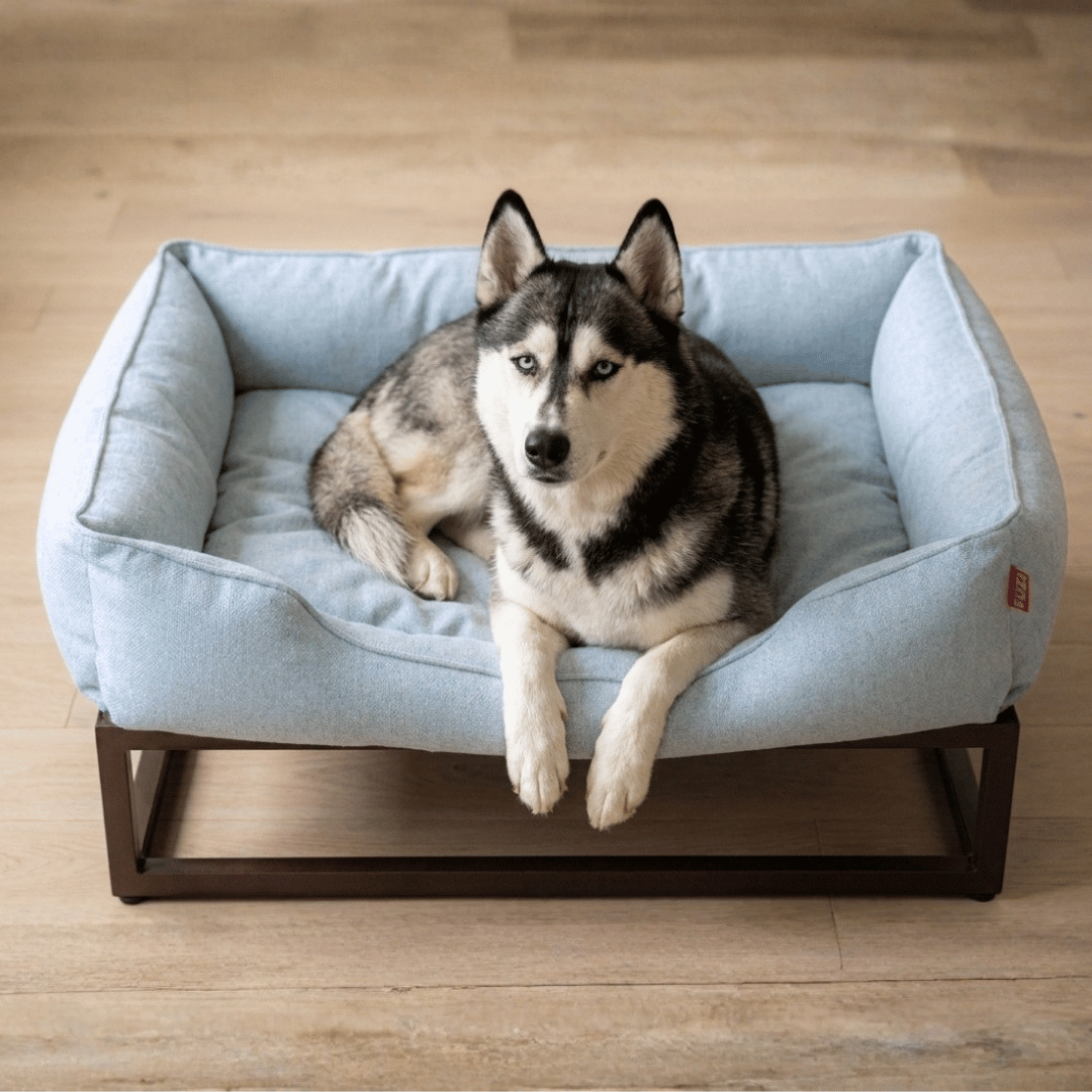 The FÜZI Elevated Dog Bed