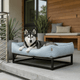 The FÜZI Elevated Dog Bed