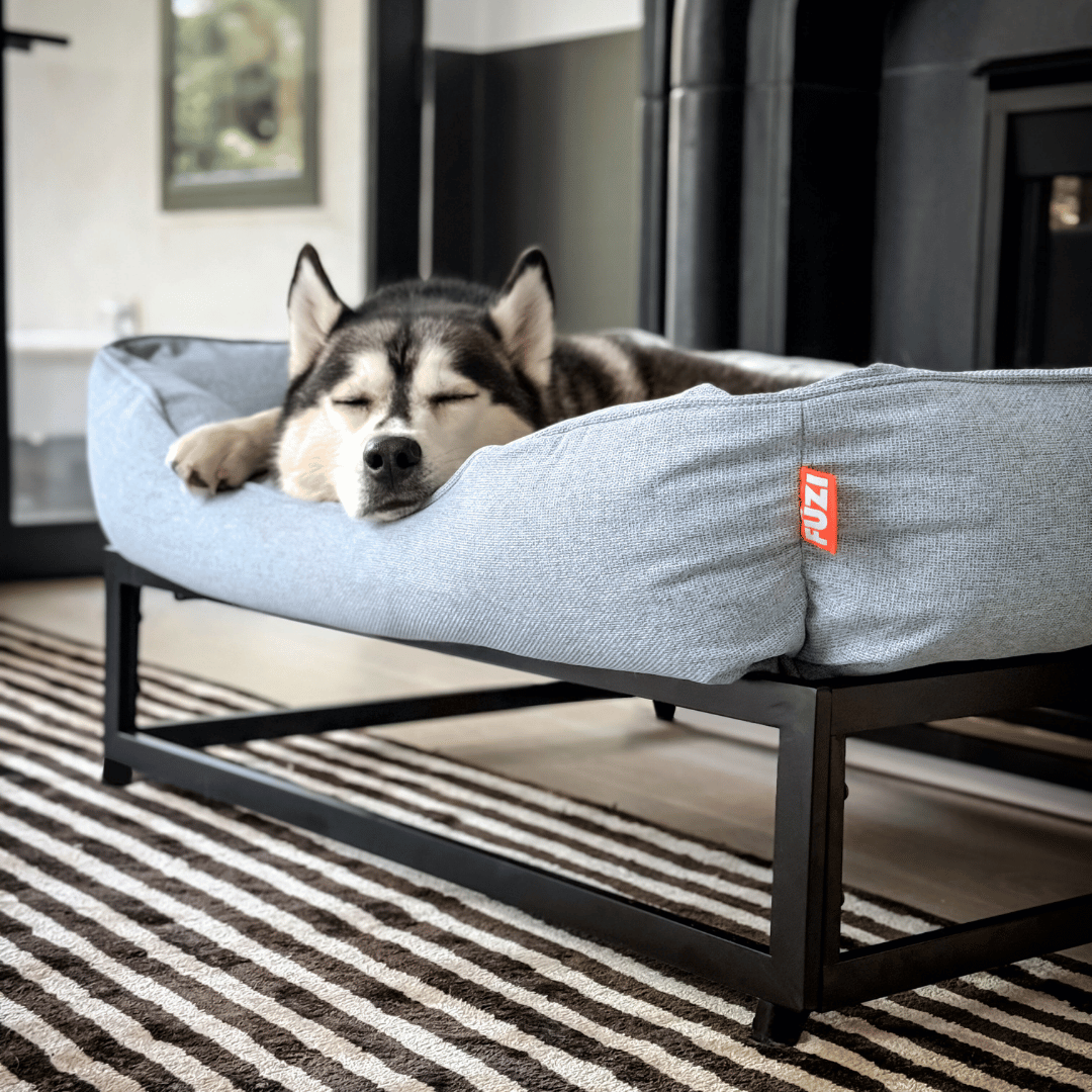 The FÜZI Elevated Dog Bed