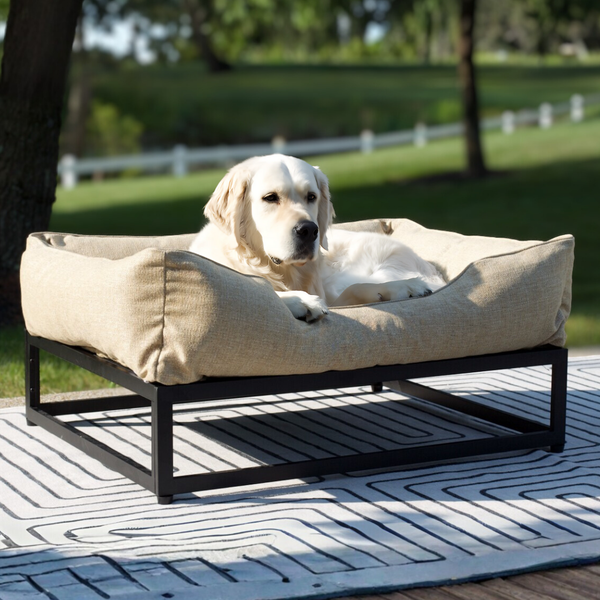 The FÜZI Elevated Dog Bed