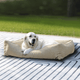 The Sammy Dog Bed