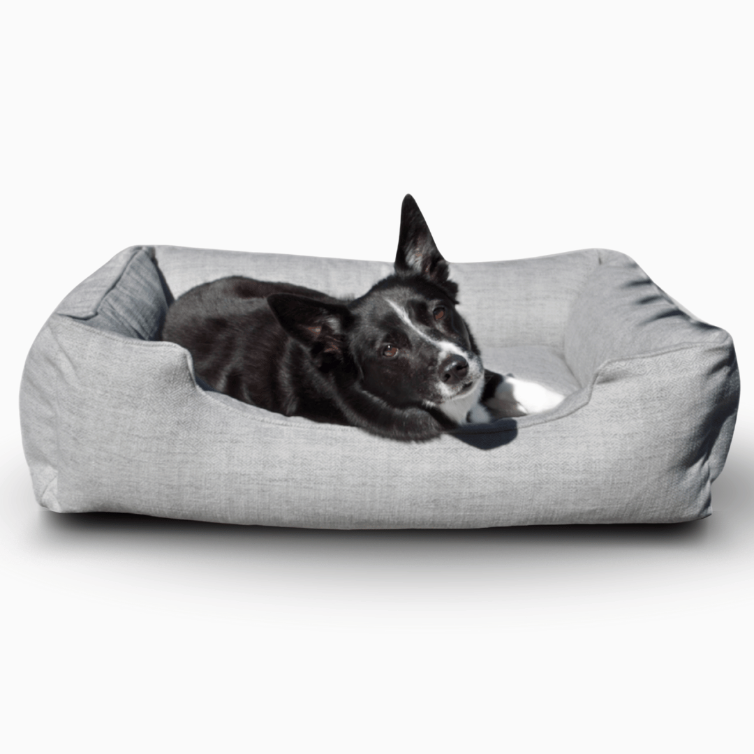 The Sammy Dog Bed