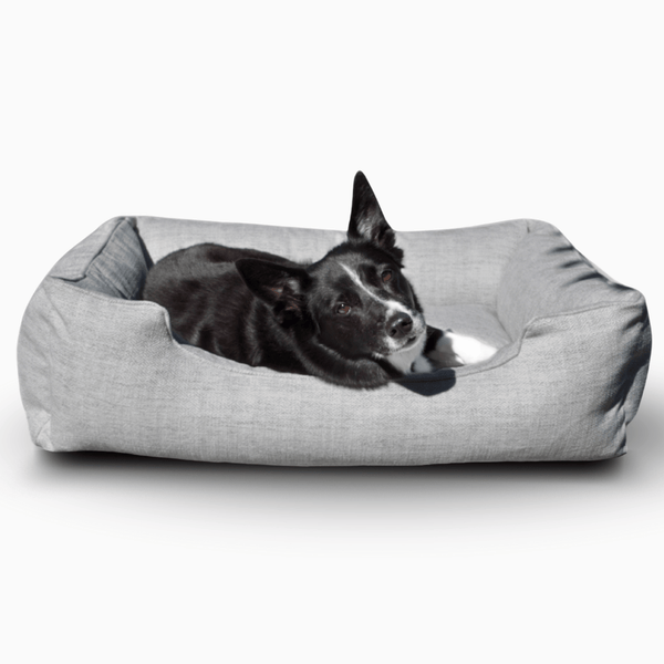 The Sammy Dog Bed