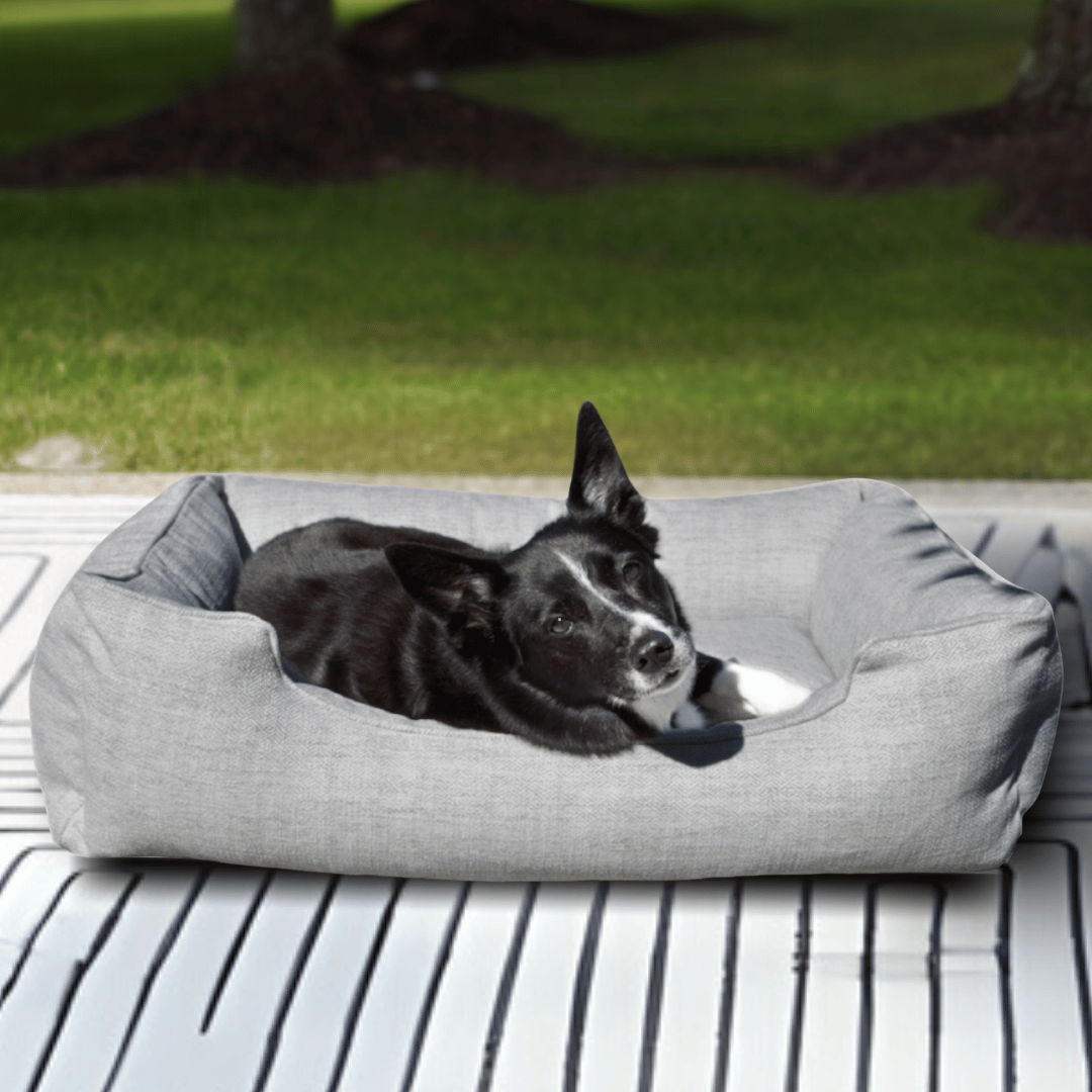 The Sammy Dog Bed