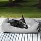 The Sammy Dog Bed