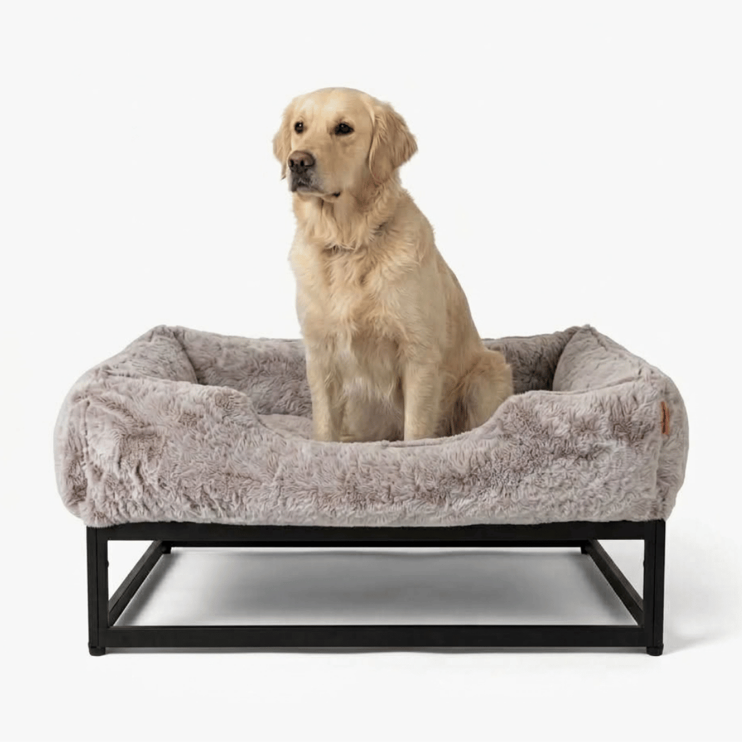 The FÜZI Elevated Dog Bed
