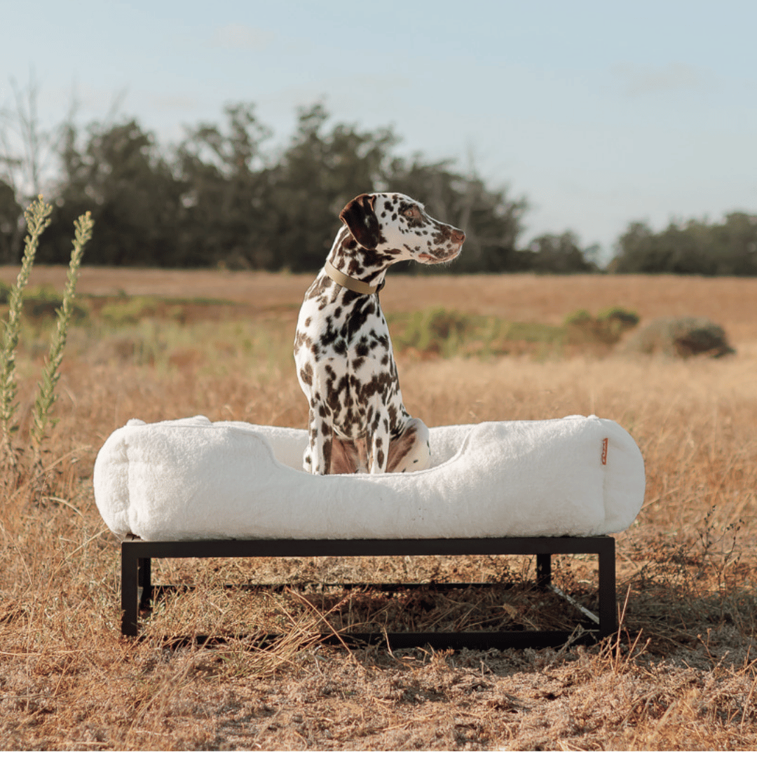 FÜZI Elevated Dog Bed White Removable Dog Bed Cover Luxury Dog Bed